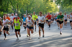 Marathonläufe